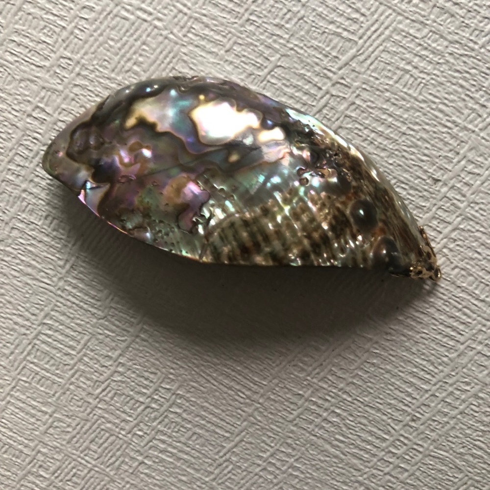Beautiful rainbow abalone shell pendant for necklace
